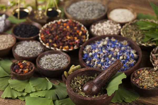 Ervas medicinais naturais sortidas — Fotografia de Stock
