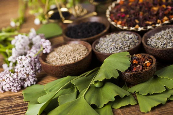 Surtido de hierbas medicinales naturales — Foto de Stock