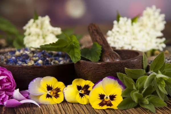 Assorted natural medical herbs — Stock Photo, Image