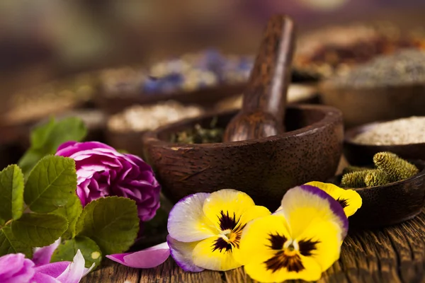 Ervas medicinais naturais sortidas — Fotografia de Stock