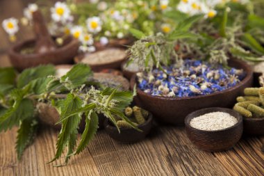 Çeşitli tıbbi tedavi edici otlar