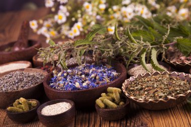 Çeşitli tıbbi tedavi edici otlar