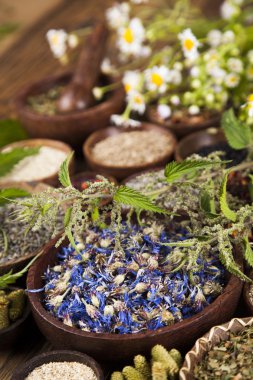 Çeşitli tıbbi tedavi edici otlar