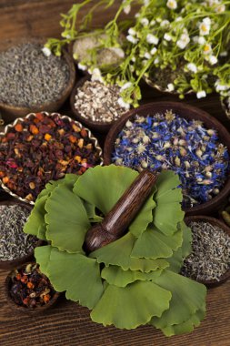 Çeşitli tıbbi tedavi edici otlar