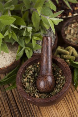 Çeşitli tıbbi tedavi edici otlar