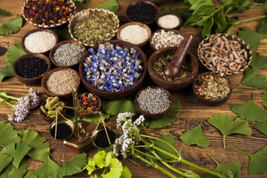Çeşitli tıbbi tedavi edici otlar