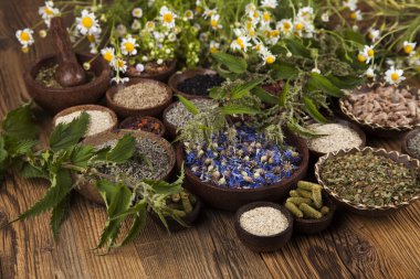 Çeşitli tıbbi tedavi edici otlar