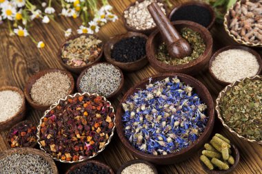 Çeşitli tıbbi tedavi edici otlar