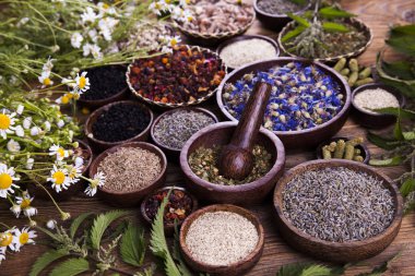 Çeşitli tıbbi tedavi edici otlar