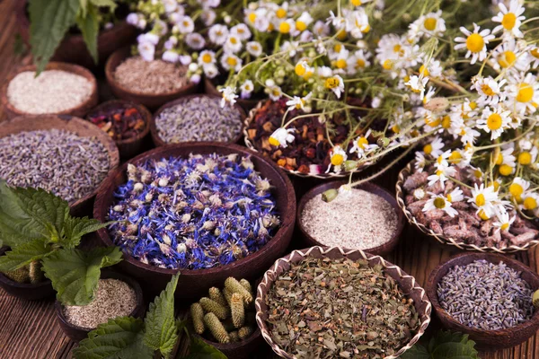 Surtido de hierbas medicinales naturales — Foto de Stock