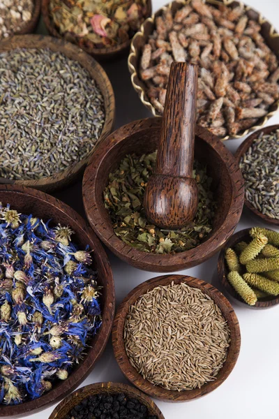 Assorted natural medical herbs — Stock Photo, Image