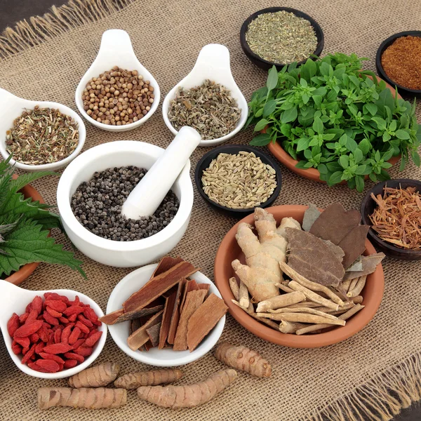 Herbs and Spices different — Stock Photo, Image