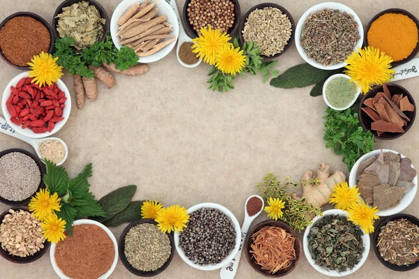 Herbal Medicine Selection — Stock Photo, Image