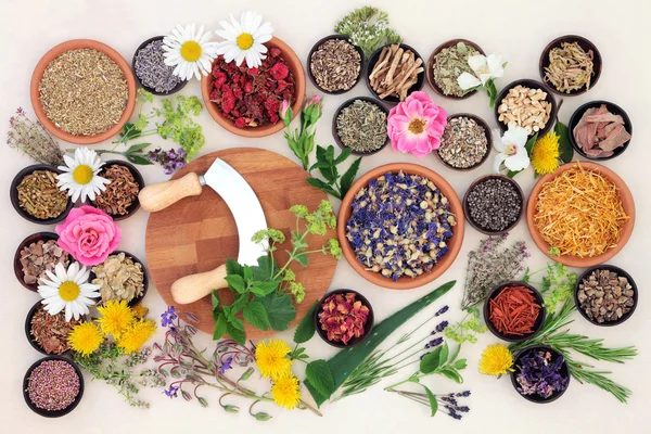 Natural Flower and Herb Medicine — Stock Photo, Image