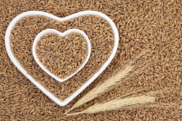 Espelta grano de trigo — Foto de Stock