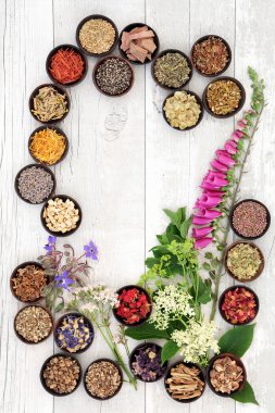 Naturopathic tıp seçimi