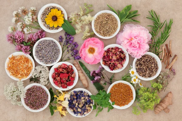 Healing Flowers and Herbs — Stock Photo, Image