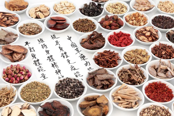 Auswahl der chinesischen Kräutermedizin — Stockfoto