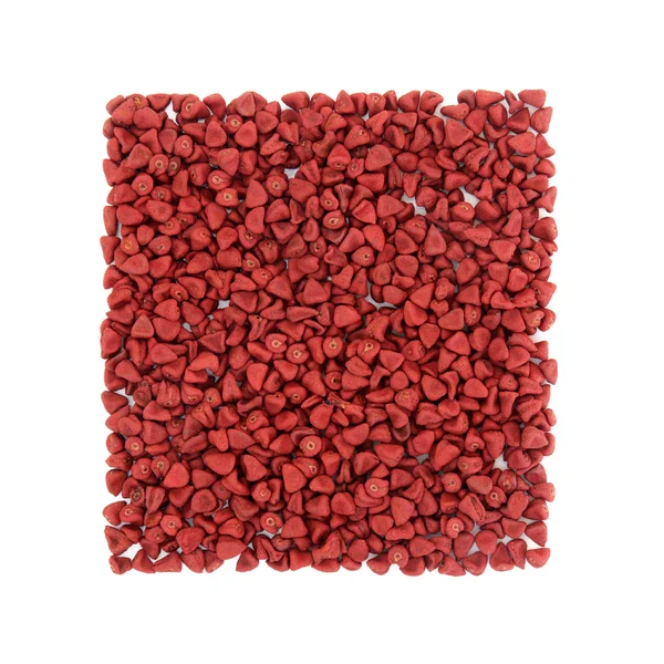 Sementes de Annatto Natural — Fotografia de Stock