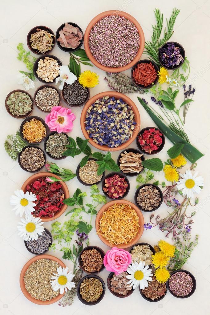 Healing Herbs and Flowers