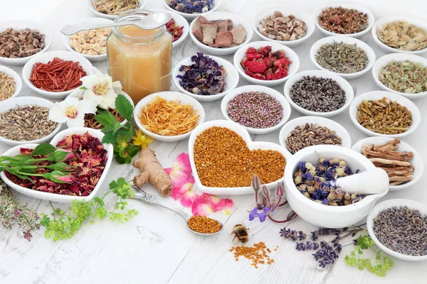 Medicina herbal alternativa — Foto de Stock