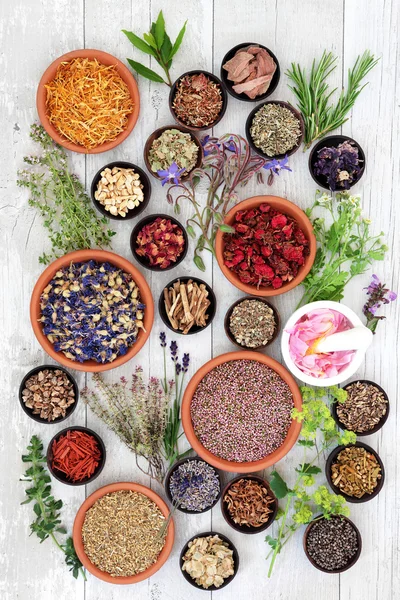 Medicina naturale alle erbe — Foto Stock
