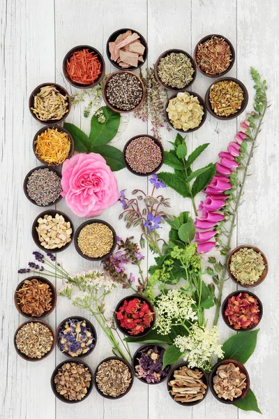 Лекарственные травы и цветы — стоковое фото