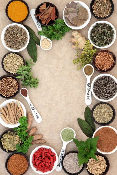 Medicinal Herb Selection — Stock Photo, Image