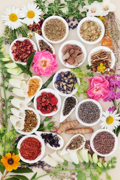 Curación Medicinal Hierbas y Flores — Foto de Stock