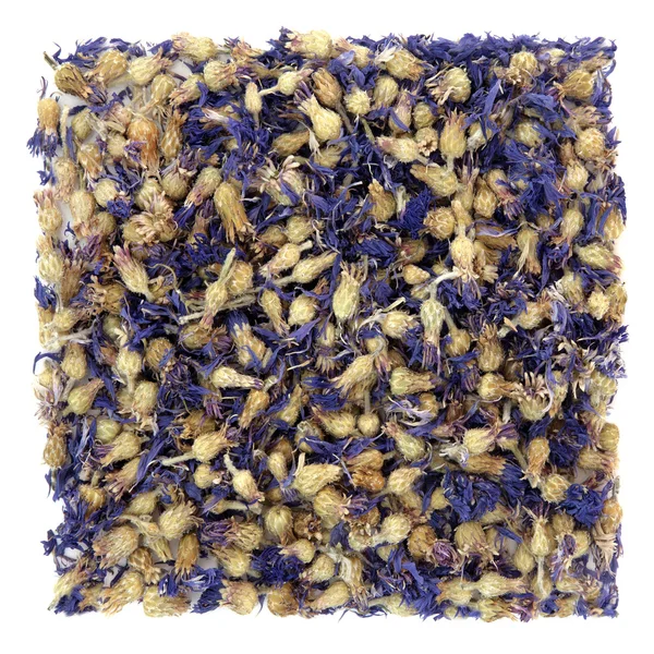 Cornflower Herbal Medicine — Stock Photo, Image