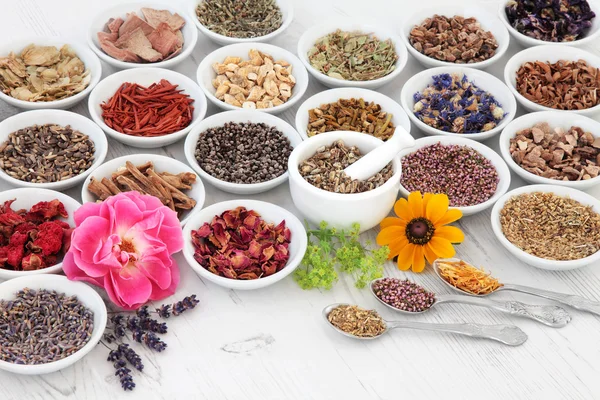 Flower and Herb Medicine — Stock Photo, Image