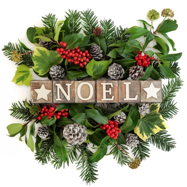 Noel dekoráció virág elrendezése — Stock Fotó