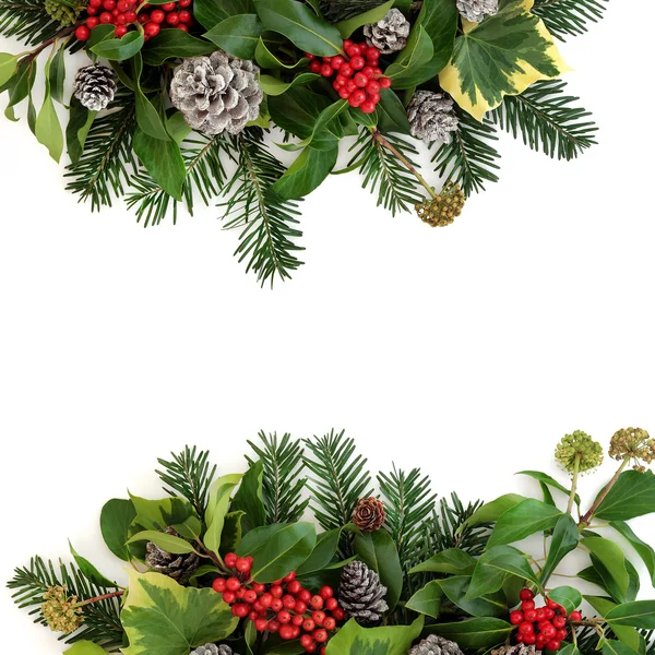 Traditional Winter Floral Border — Stock Photo, Image