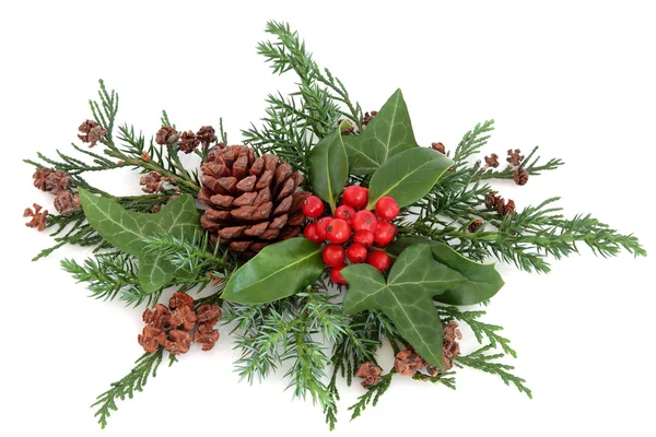 Vinter Holly och grönska — Stockfoto