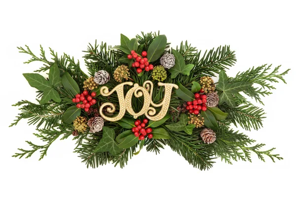 Decoratie van de vreugde van Kerstmis — Stockfoto