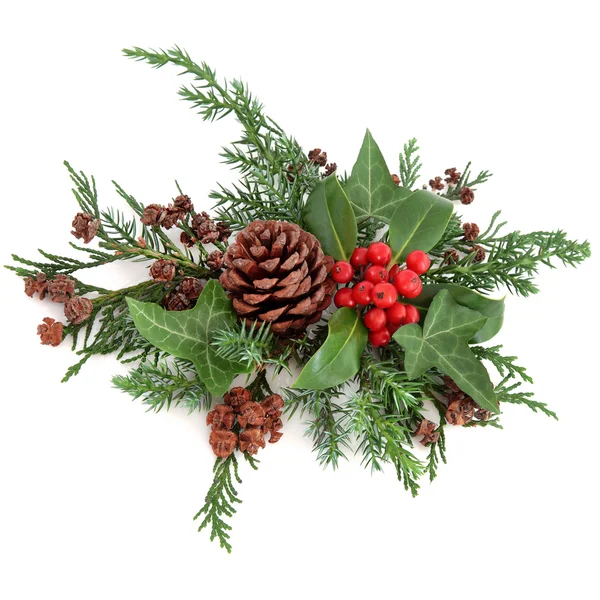 Winter Foral Arrangement — Stock Photo, Image