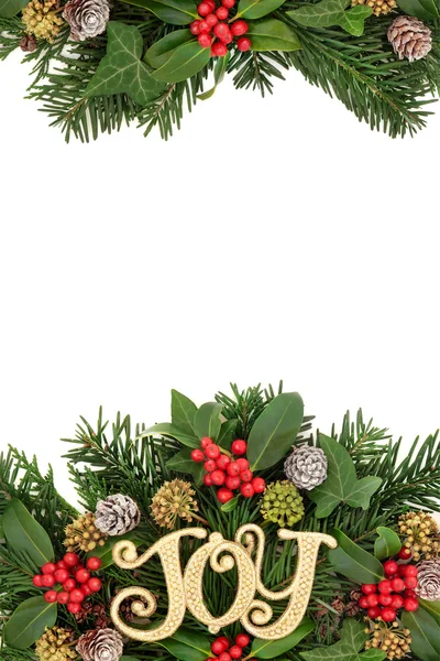 Kerst vreugde en florale grens — Stockfoto
