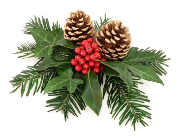 Kış çiçek görüntüleme