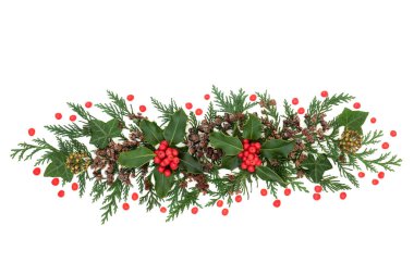 Noel süslemesi kışı Holly, beyaz arka planda sarmaşık ve sedir çiçeği ile. Bayram ve yeni yıl için dekoratif doğal afiş. Düz konum, üst görünüm, kopyalama alanı.