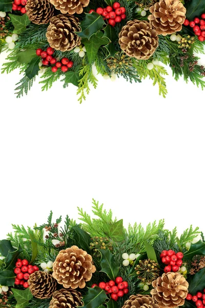 Kerst Achtergrond Grens Met Gouden Dennenappels Hulst Maretak Klimop Ceder — Stockfoto