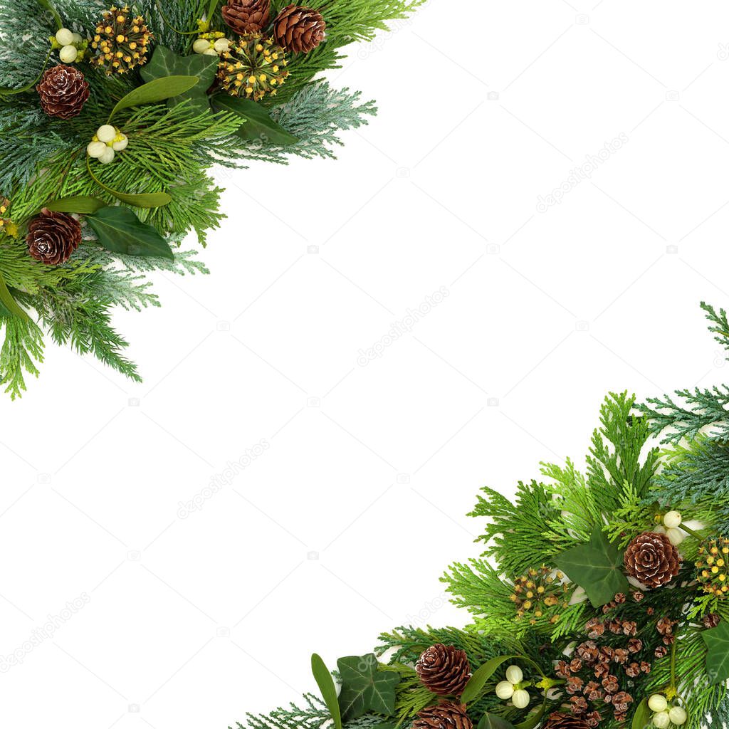 Natural winter greenery border with cedar cypress fir leaves, mistletoe, ivy & pine cones on white background. Composition for Christmas, solstice & New Year. Flat lay, top view, copy space.