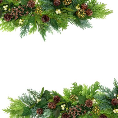 Yılbaşı ve yeni yıl için beyaz arka planda sedir selvi köknarı, ökseotu, sarmaşık ve çam kozalaklarıyla doğal kış yeşillik sınırı. Düz konum, üst görünüm, kopyalama alanı