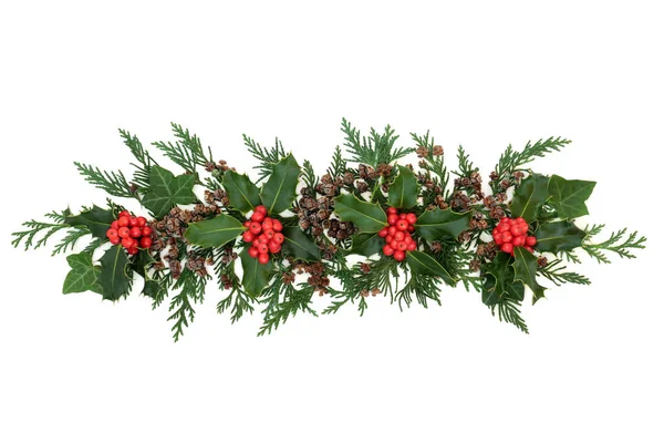 Kerst Decoratieve Display Met Winterbes Hulst Ceder Cipres Klimop Dennenappels — Stockfoto