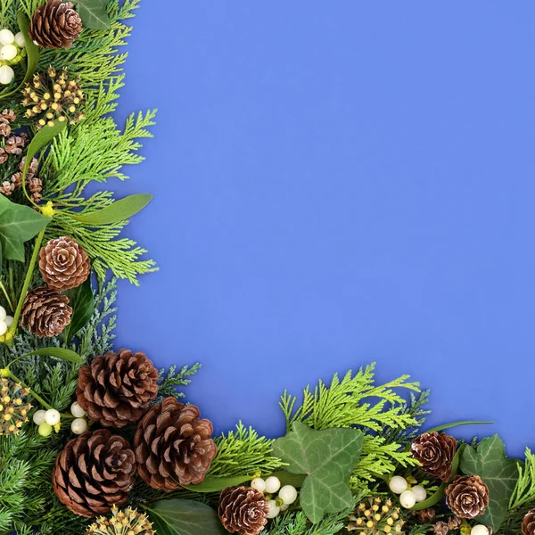 Traditional winter greenery background border with cedar cypress & juniper fir leaves mistletoe, ivy & pine cones on blue background. Composition for the Xmas & New Year. Flat lay, top view, copy space.
