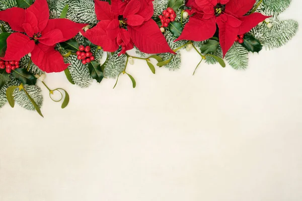 Poinsettia Цветочная Граница Дня Благодарения Рождества Холли Заснеженные Ели Ели — стоковое фото