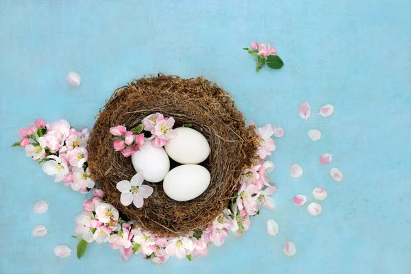 Wiosenna Koncepcja Piękna Białymi Jajkami Gnieździe Kwitną Jabłka Turkusowym Tle — Zdjęcie stockowe