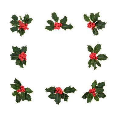 Doğal kış, Noel ve Yeni Yıl kare kutsal çilek çelengi beyaz arka planda. Festival sezonu için soyut minimal xmas bayram teması & kenarı.