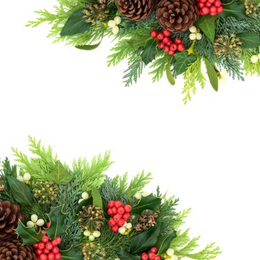 Noel kışı & Yeni Yıl arkaplan sınırı Holly, sarmaşık, ökseotu, selvi çiçeği ve çam kozalaklarıyla beyaz üzerine. Geleneksel bitki örtüsünün Xmas kompozisyonu. Düz konum, üst görünüm, kopyalama alanı.