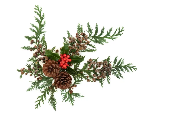 冬のホリー 杉のヒノキの葉 白い背景にクリスマス 新年のためのお祝いの自然表示要素を形成松コーン装飾 フラットレイアウト トップビュー コピースペース — ストック写真