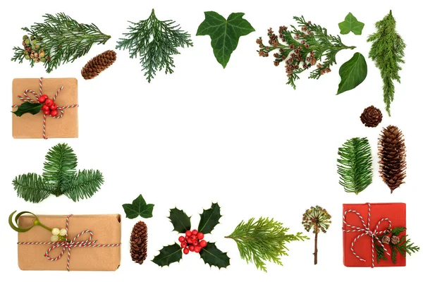 Frontera Navidad Con Ecológicas Cajas Regalo Envueltas Vegetación Invierno Con — Foto de Stock